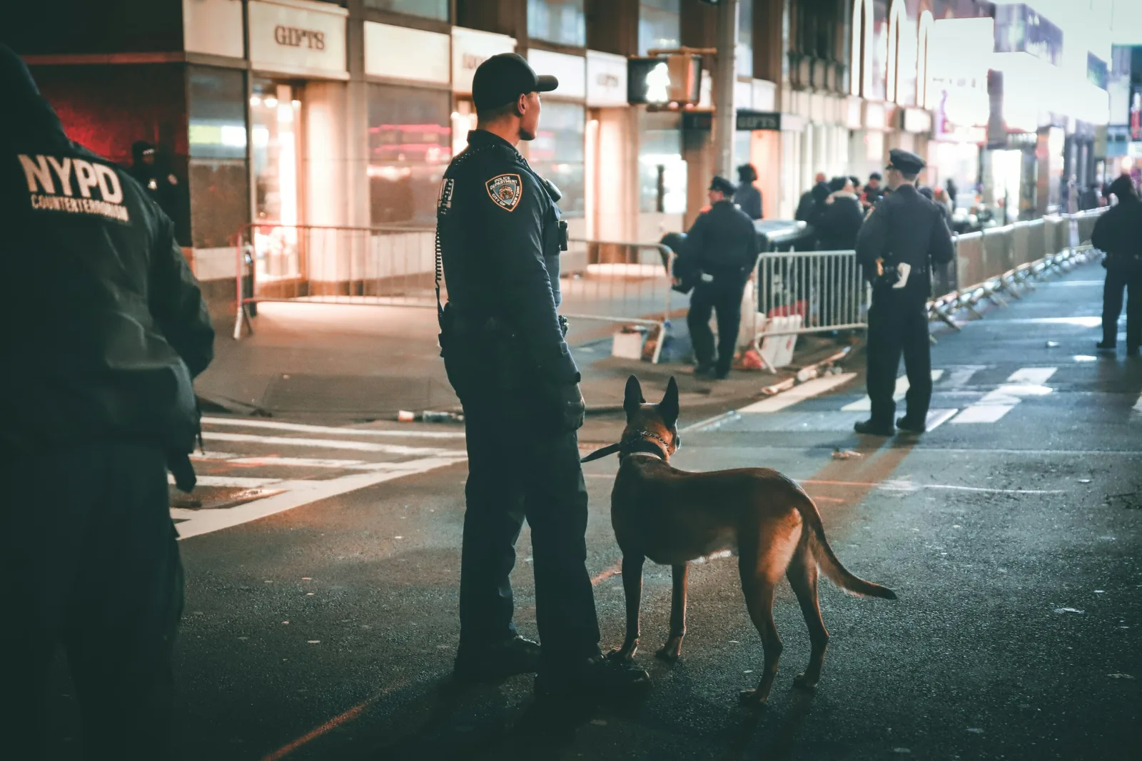 Köpekler, Polislerde PTSD Belirtilerini Hafifletebilir
