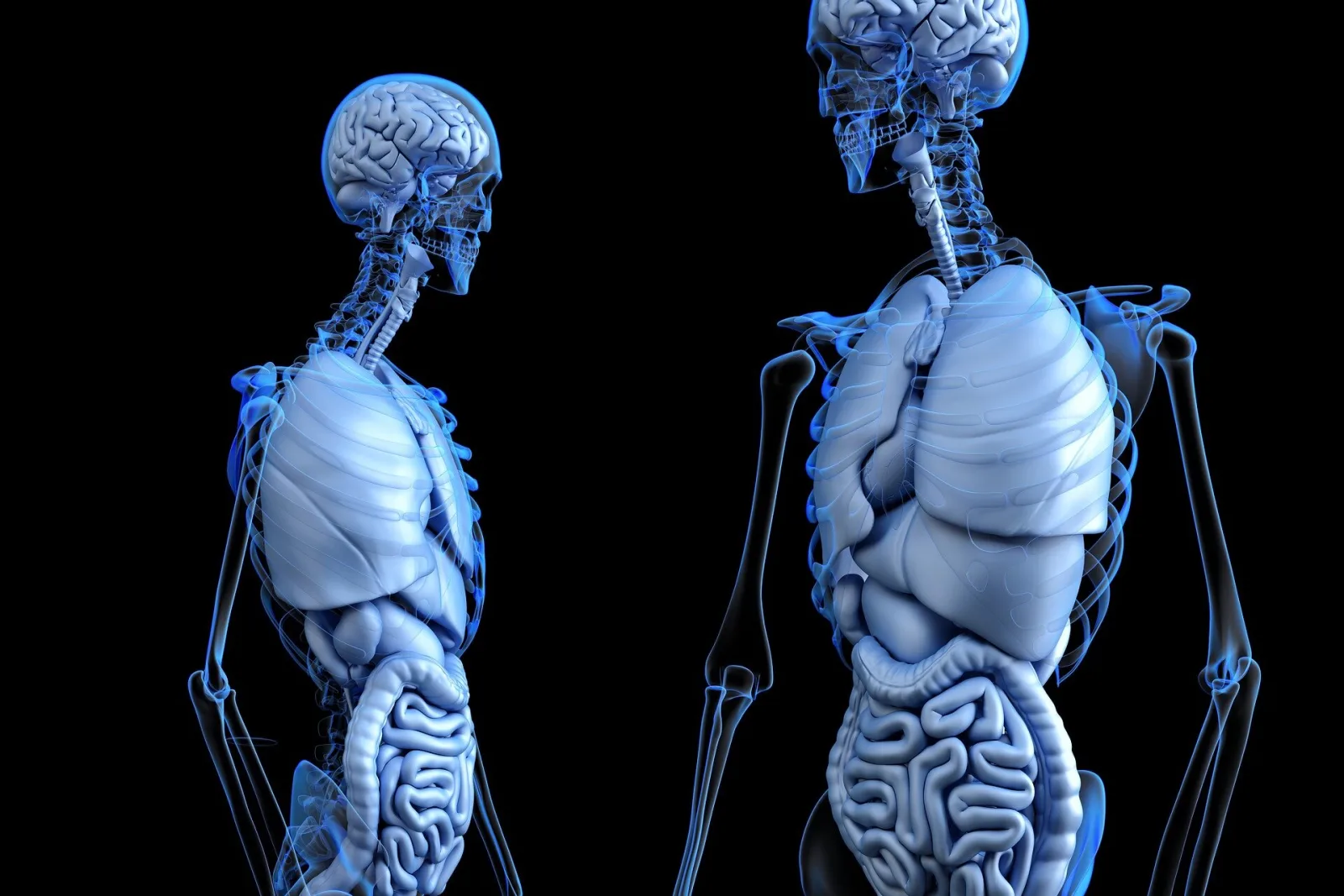 Karaciğer ve beyin yolları nadir epilepsi modelinde farklı belirtilere yol açar