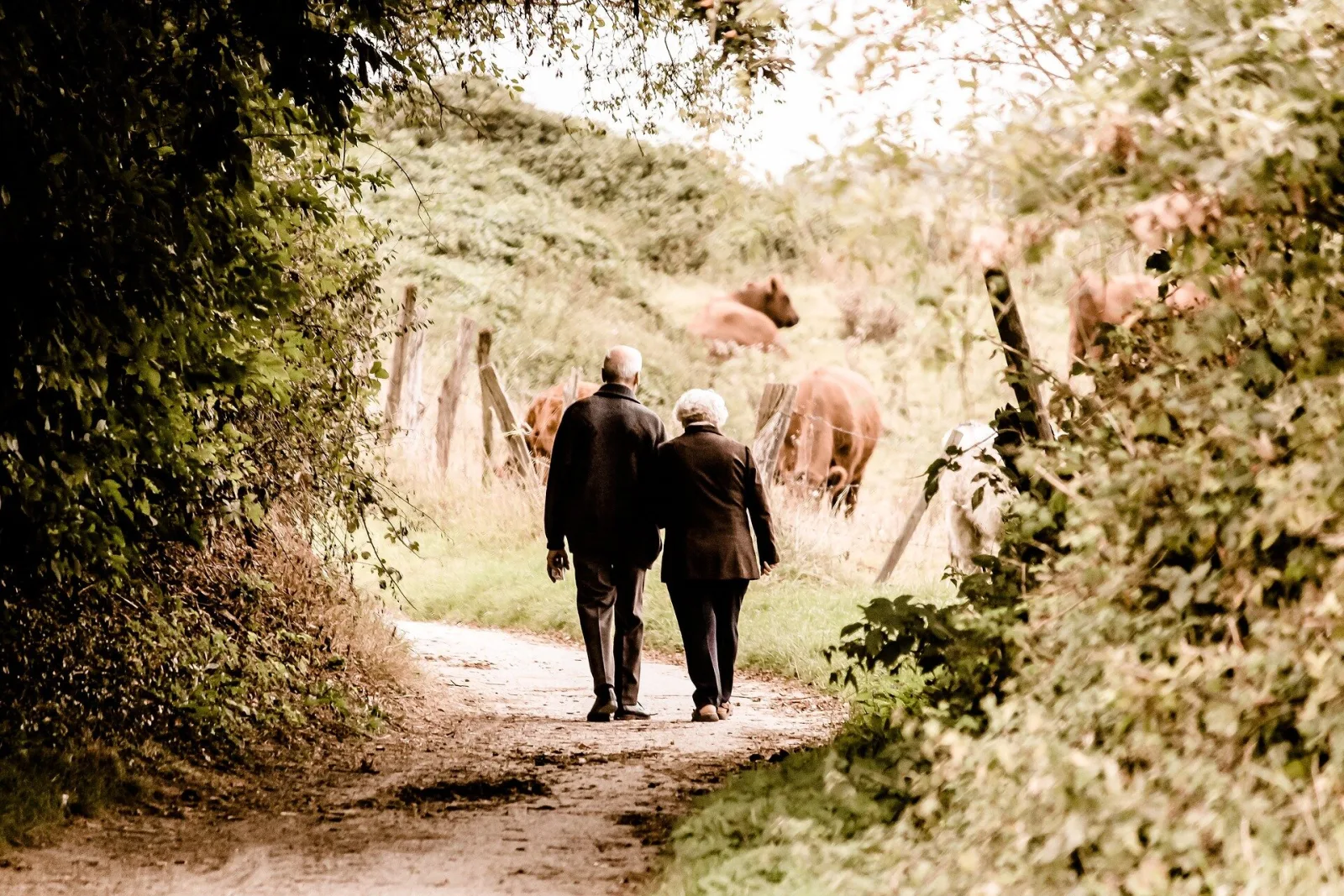 Parkinson Hastalığı'nda Fiziksel Aktivite Artışı İle Düşünme ve Hareket Fonksiyonlarındaki Yavaşalma İlişkisi