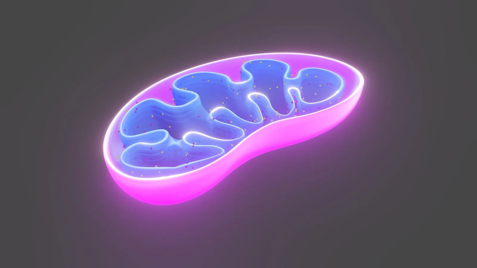 Parkinson Hastalığına Hassayın Beyin Tadı Nöronlarında Mitokondriyal DNA Hasarı İlk Defa Tek Hücre Düzeyinde Görüldü