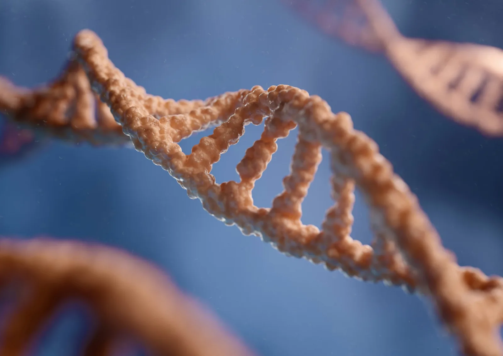 İmmün hücrelerin DNA mutasyonlarını hedefleyerek antikorları nasıl geliştirdiği keşfedildi