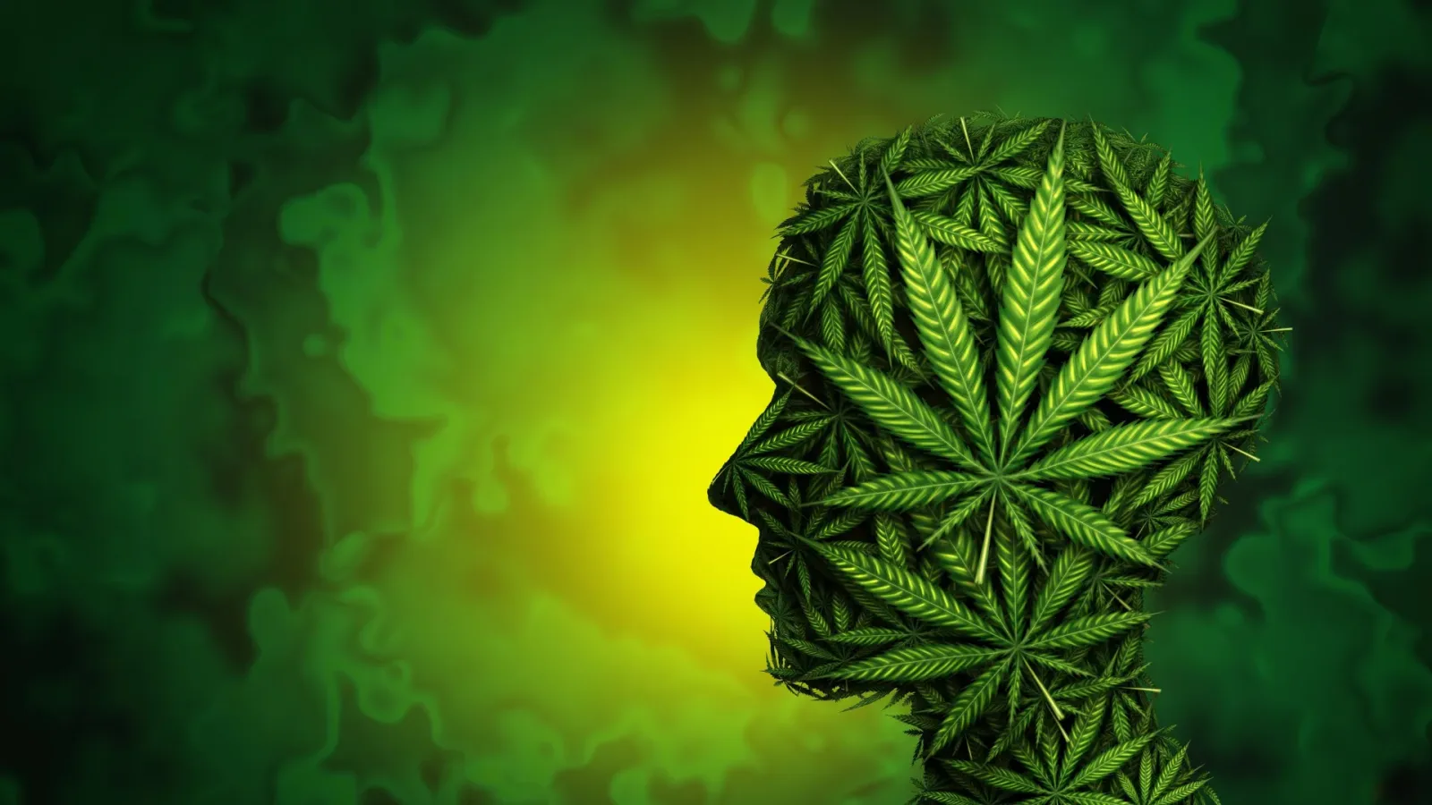 Kannabinoidlar, Korku Merkezindeki Nöronların 'Frenini' Kaldırarak Anksiyeteyi Artırabilir